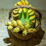 Masseria Santo Stefano Relais&charming House Гостевой дом