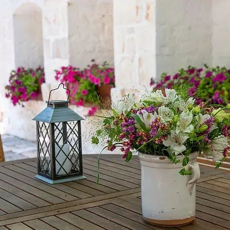 Masseria Santo Stefano Relais&charming House 게스트하우스 콘베르사노