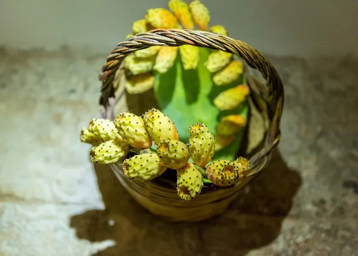 Masseria Santo Stefano Relais&charming House 招待所