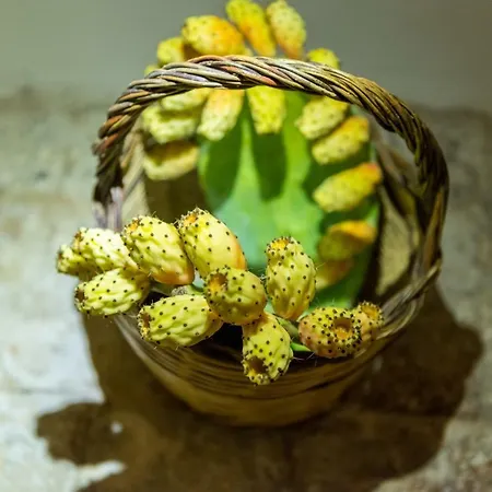 Masseria Santo Stefano Relais&charming House Guest house